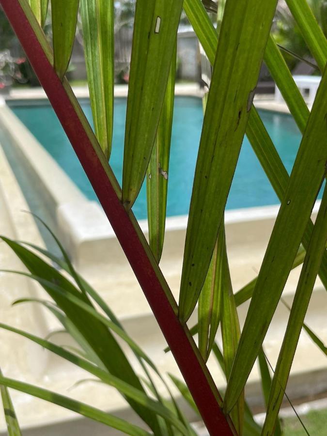 Hola Lofts Villa Uluwatu Екстериор снимка